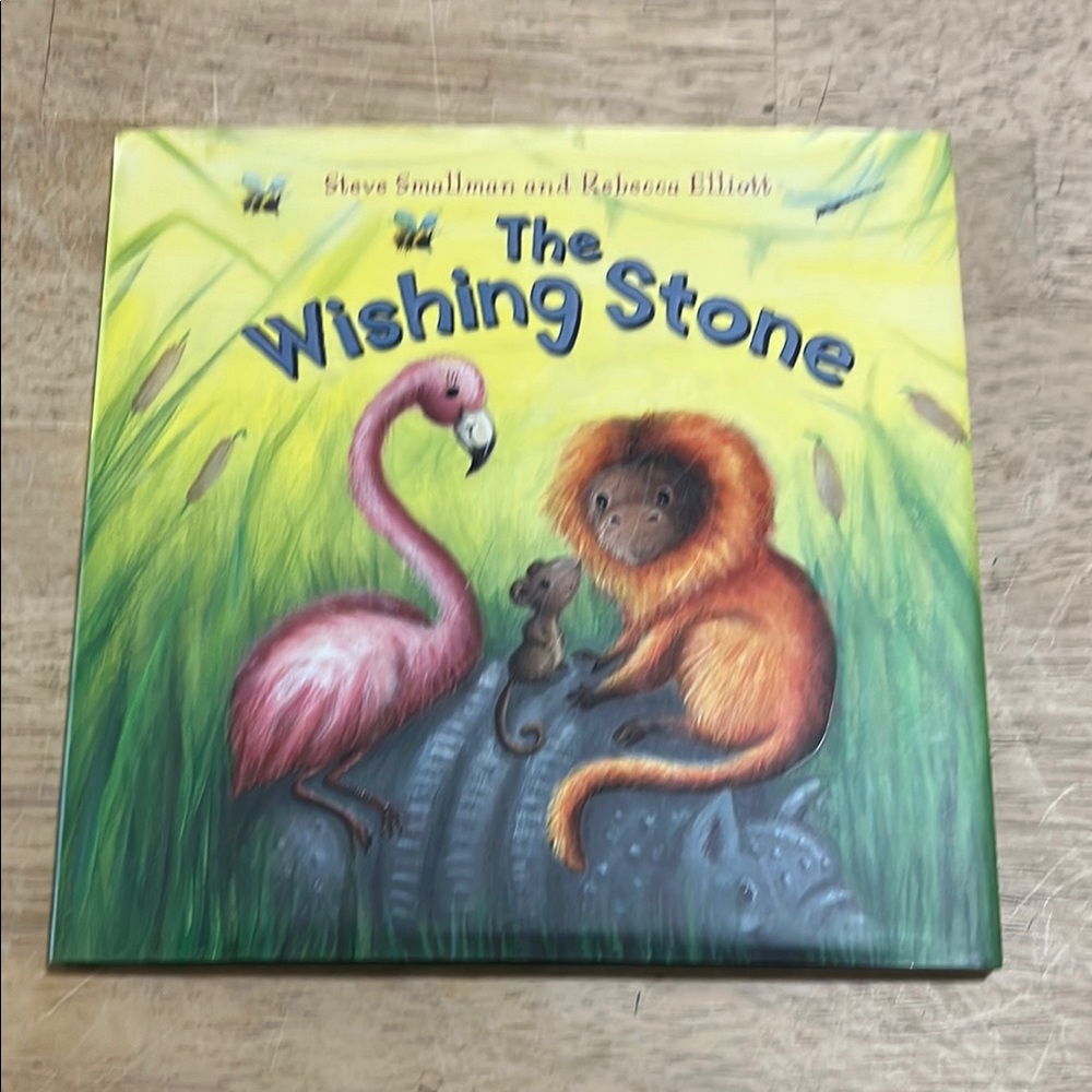 The Wishing Stone by Steve Smallman Children's Book